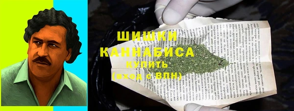 PSILOCYBIN Богданович