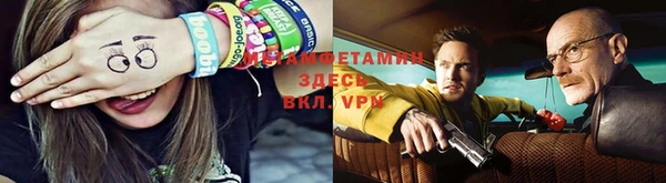 PSILOCYBIN Богданович