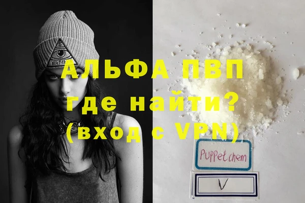 PSILOCYBIN Богданович